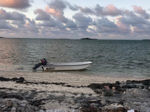 edbde598-cbc6-4602-9138-7d6f6d0d812b